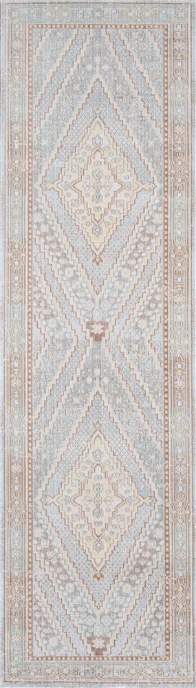 Traditional ISABEISA-7 Area Rug - Isabella Collection 